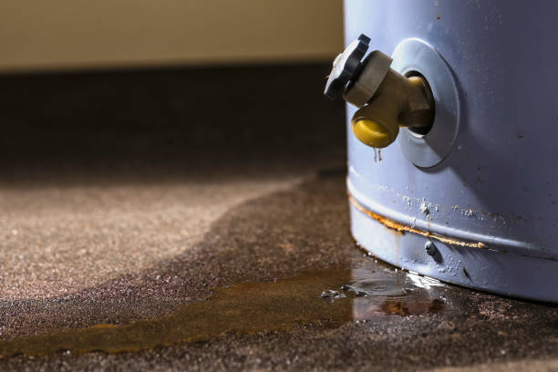  Defiance, OH Water damage restoration Pros