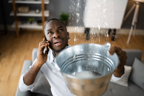 Best Water damage contractors near me  in Defiance, OH