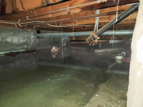 Best Water damage restoration insurance claims  in Defiance, OH