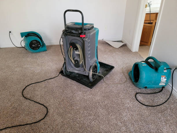 Best Sewage cleanup and water damage restoration  in Defiance, OH