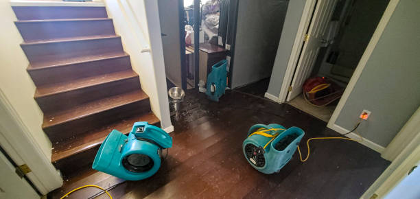 Best Flood restoration services  in Defiance, OH