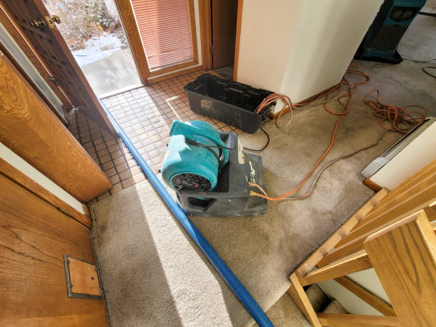 Best Professional water damage repair  in Defiance, OH