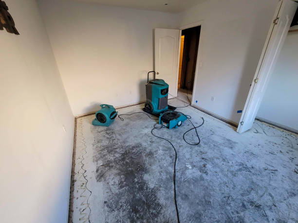 Best Water damage contractors near me  in Defiance, OH