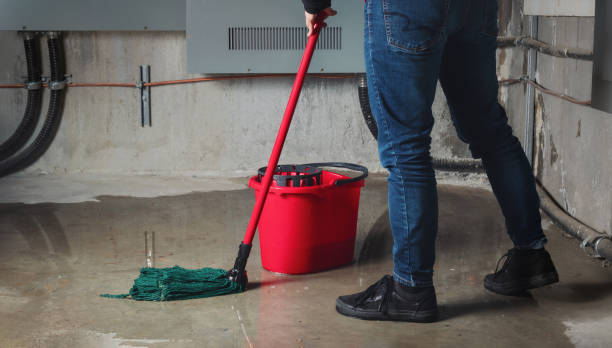 Best Commercial water damage restoration  in Defiance, OH