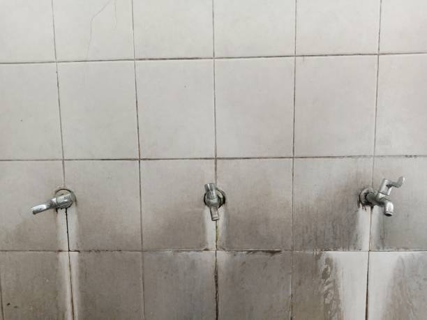 Best Water damage restoration near me  in Defiance, OH