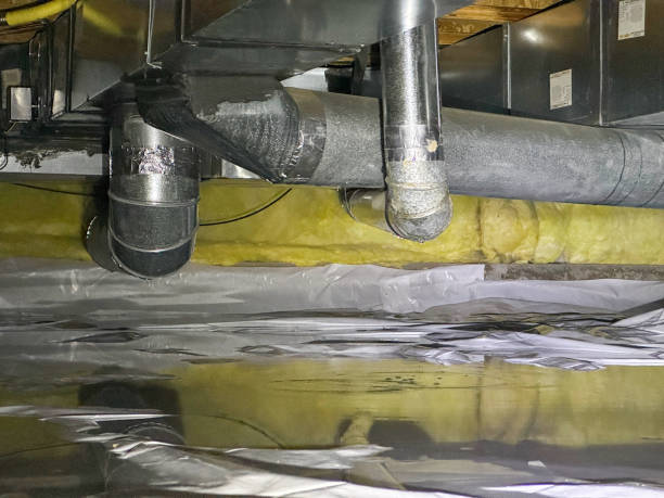 Best Water damage restoration mold remediation  in Defiance, OH