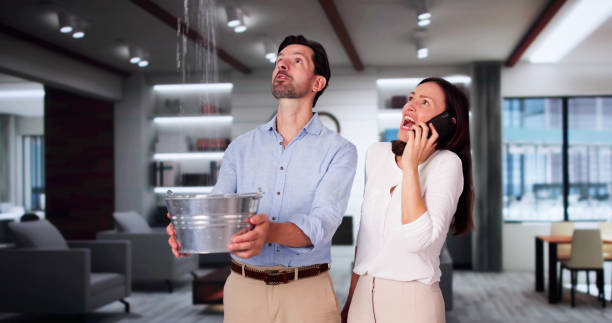 Best Flooded house restoration  in Defiance, OH