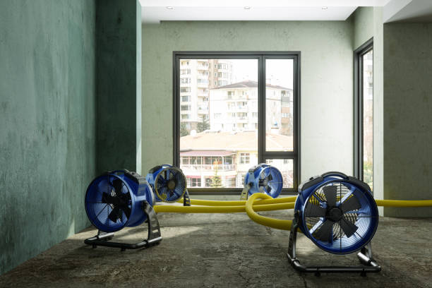Best Residential water damage restoration  in Defiance, OH