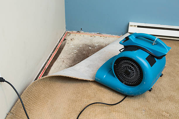 Fire Damage Restoration in Defiance, OH